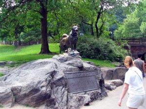 Central park NYC 16.JPG